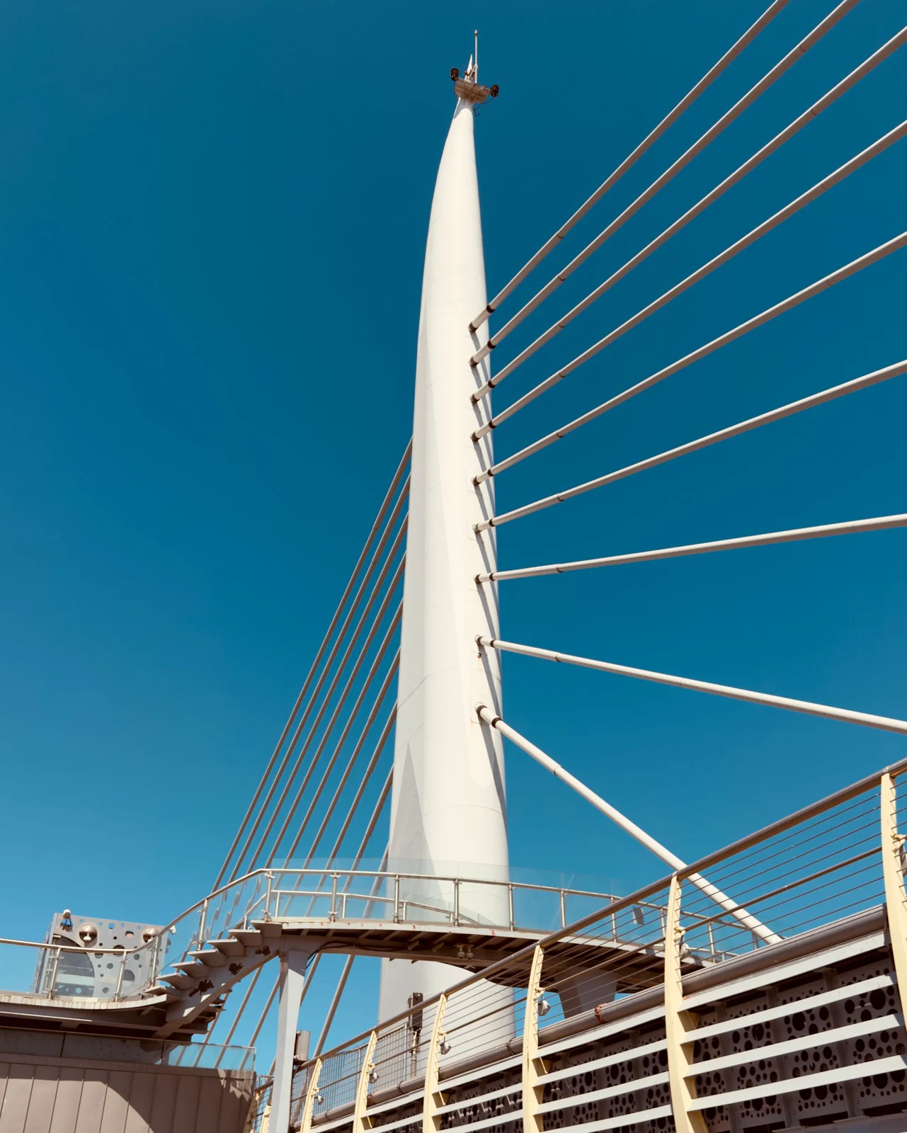 A cable-stayed bridge, with steel cables meeting a tall white pylon against the blue sky